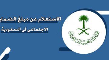 الاستعلام عن مبلغ الضمان الاجتماعي في السعودية