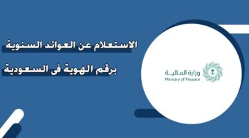 الاستعلام عن العوائد السنوية برقم الهوية في السعودية