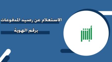 الاستعلام عن رصيد المدفوعات برقم الهوية السعودية