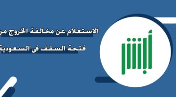 الاستعلام عن مخالفة الخروج من فتحة السقف في السعودية