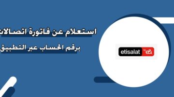 استعلام عن فاتورة اتصالات برقم الحساب عبر التطبيق