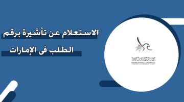 الاستعلام عن تأشيرة برقم الطلب في الإمارات