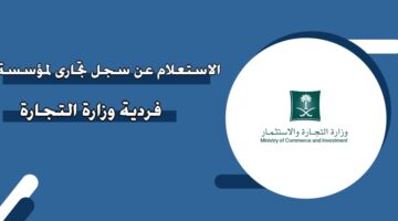 الاستعلام عن سجل تجاري لمؤسسة فردية وزارة التجارة