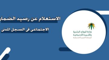 الاستعلام عن رصيد الضمان الاجتماعي في السجل المدني السعودية